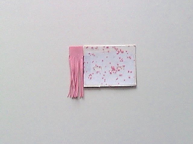 17, 6,5x8cm